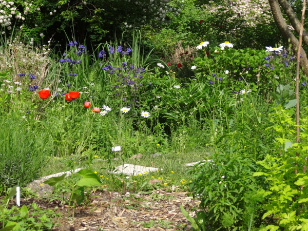 Wildgarten