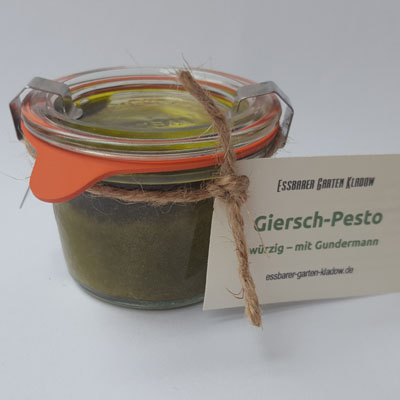 Giersch-Gundermann-Pesto